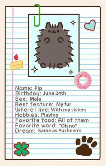 pip pusheen brother