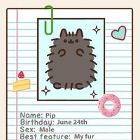 pip and pusheen