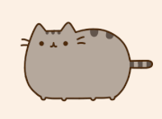 Aboutpusheen