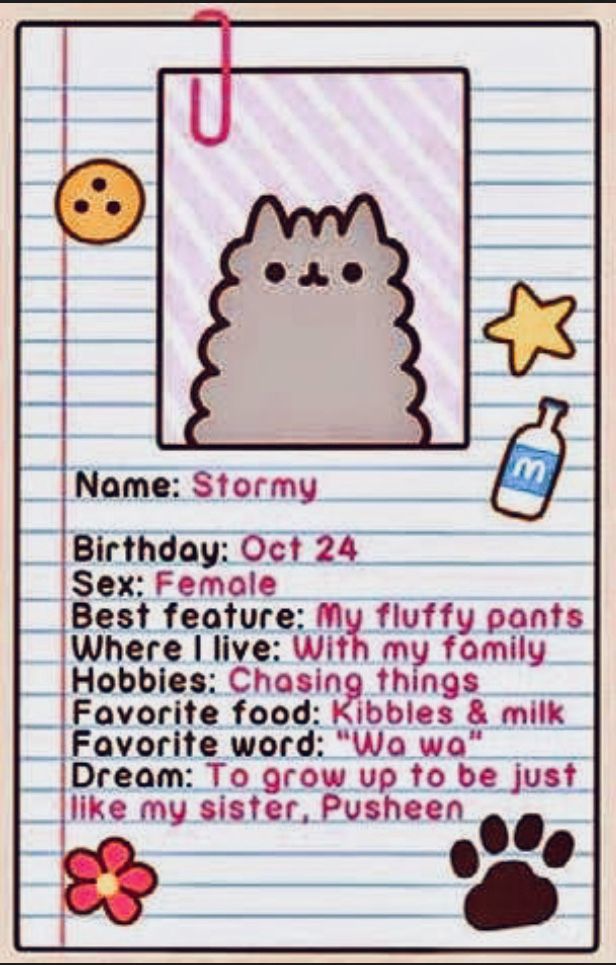 pusheen stormy birthday