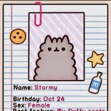 pusheen and stormy birthday