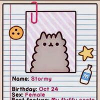 pusheen little brother