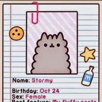 stormy pusheen sister