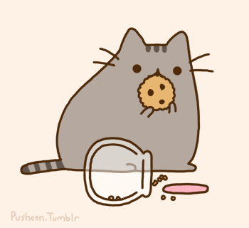 funny pusheen cat