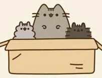 pip pusheen brother