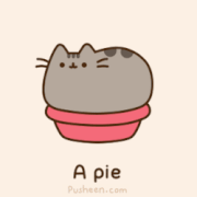 A pie