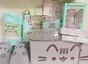 Pusheen box Contents