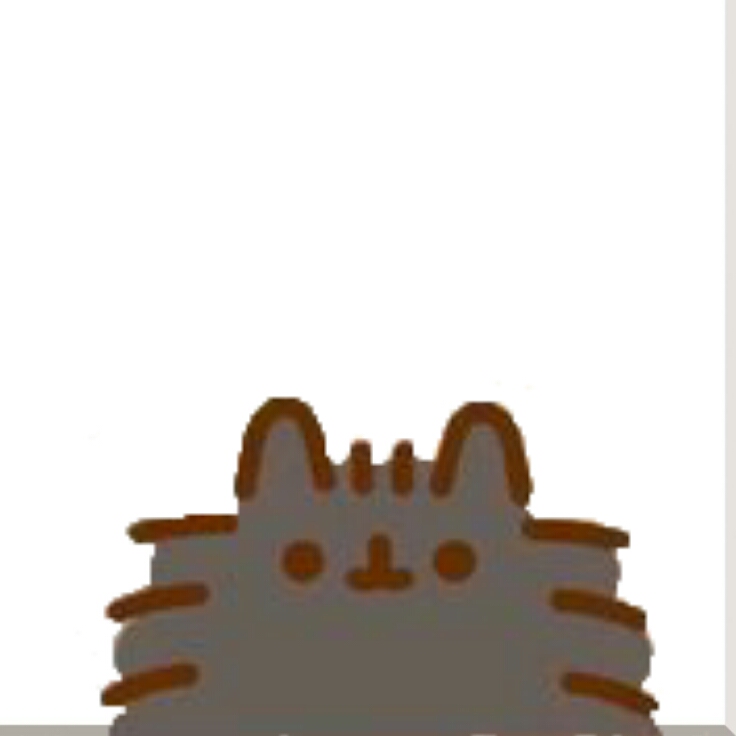 pusheen cat pip