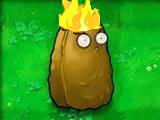 Torch Nut