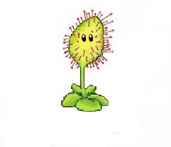 sundew plant plants vs zombies character creator wiki fandom