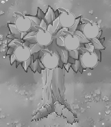 Imitater Apple Tree