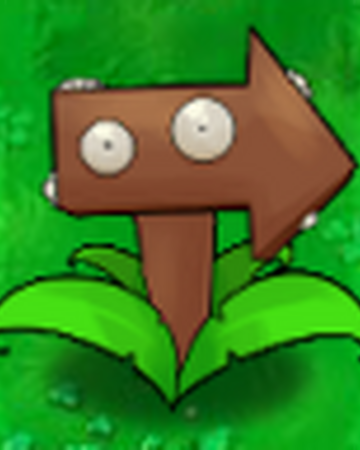 Arrowwood Plants Vs Zombies Character Creator Wiki Fandom