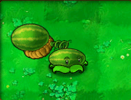 Melon-Pult