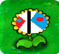 Superior Sunflower