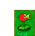 Birdshooter