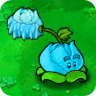 Cold Cabbage-pult