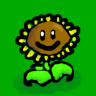Sunflower TNL