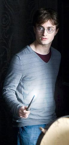 Harrys Wand Portrait Adult Crewneck Sweatshirt Harry Potter