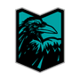 Raven Squad