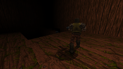 Holodude