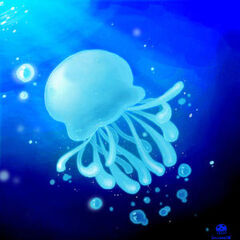 Jeely