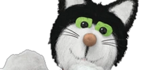 jess the cat teddy