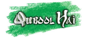 Qubool Hai Logo latest