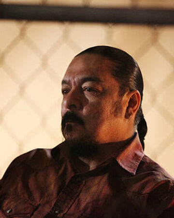 Tonto Queen Of The South Wiki Fandom