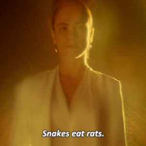 Un Pacto Con El Diablo Queen Of The South Wiki Fandom