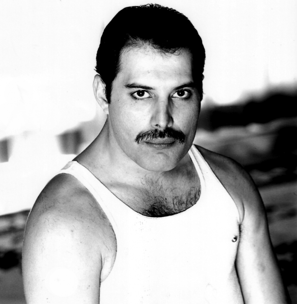 Como intérprete, ha sido reconocido por su poderosa voz y extravagantes puestas en escena. Freddie Mercury Zähne Wiki - Obraz - Freddie Mercury czarno-białe 2.jpg | Queen Wiki ...