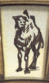 Aletiometro Cammello