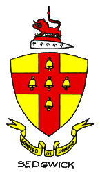 Arms-1-1-285x488t