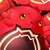 Rocher (Beast of True Crimson Eyes) Icon