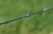 Wire