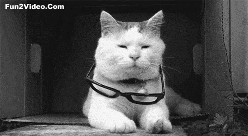 Image result for animated funny gifs