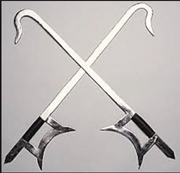 Dual swords