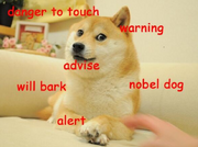 Attack Doge