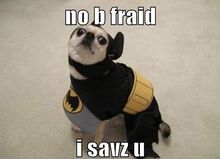 I sayv u