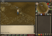 Jagex005
