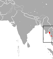 Kitti's Hog-nosed Bat area