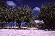 Tuvalu - Funafuti - School