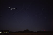 PegasusCC