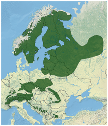 Norway Spruce Picea abies distribution map 2