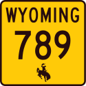 WY-789