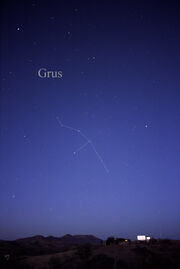 Constellation Grus