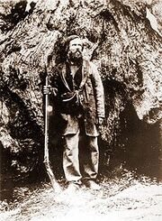 Galen Clark in the Big Tree Grove