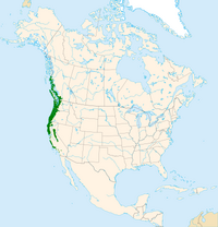 Acer macrophyllum range map