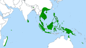 Nepenthes distribution