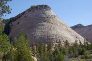 Checkerboard Mesa in Zion National Park