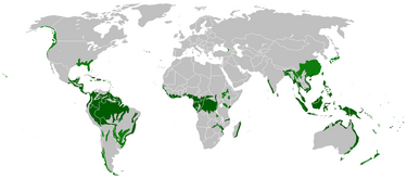 Rain forest location map